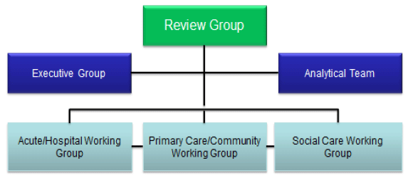 Figure 1: Review Group structure and relationships