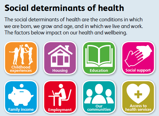 Figure 11. Social determinants of health