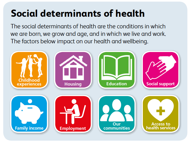 Figure 2: Social determinants of health