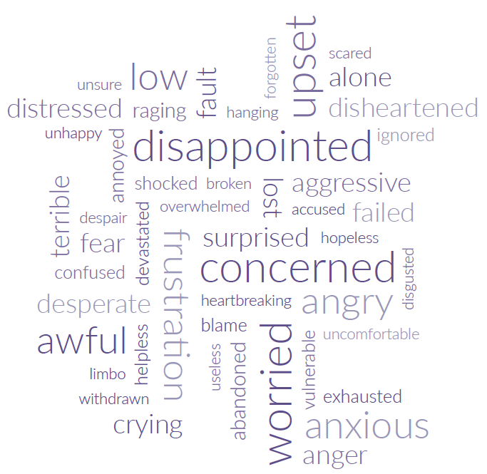 Figure 22: Words most used in the qualitative interviews that describe people’s feeling about CAMHS process