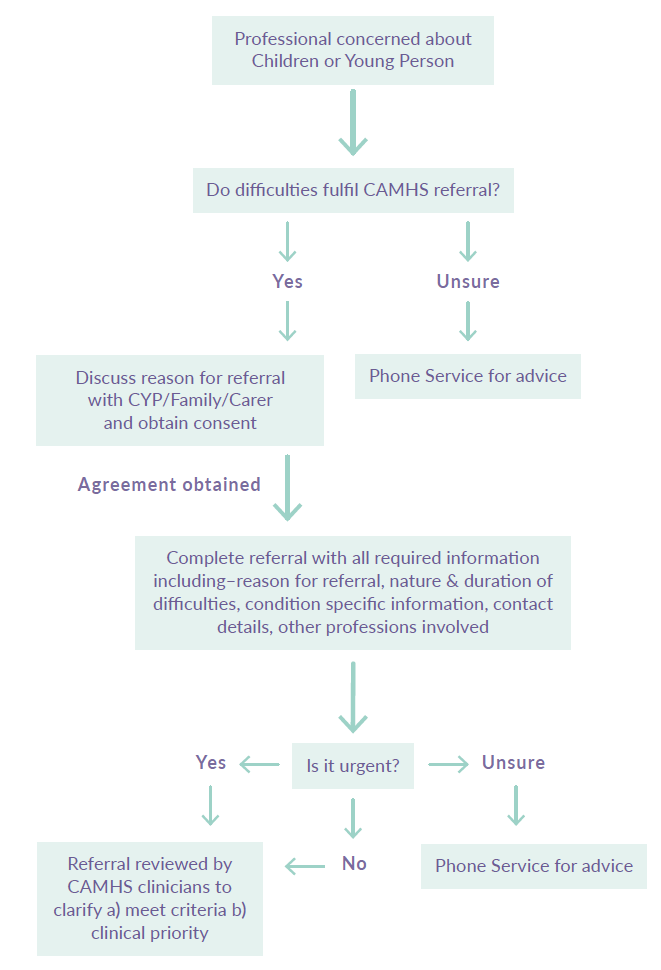 Referral Flow Chart