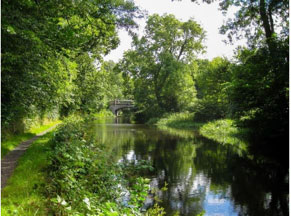 Image: Union Canal Habitats