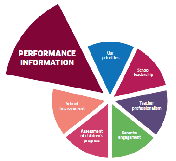 Performance information