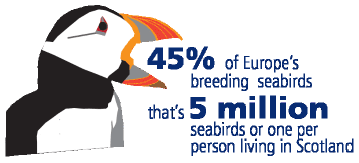 45% of Europe's breeding seabirds that's 5 million seabirds or one per person living in Scotland