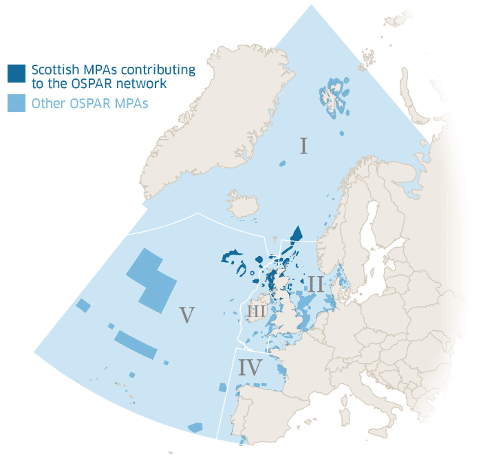 Scotland's MPAs as part of the OSPAR network in the North-East Atlantic