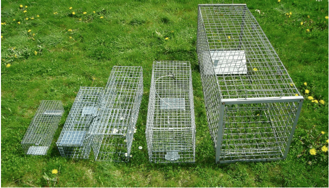 Different trap sizes
