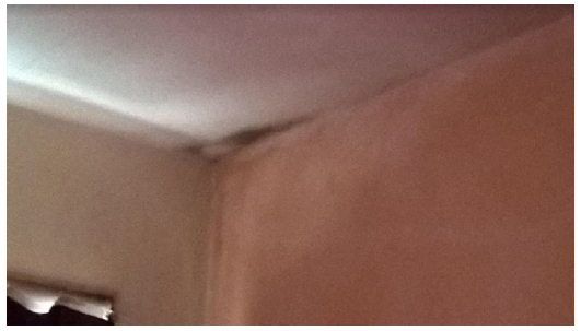 Photo 3: Damp patch in corner of bedroom near broken gutter