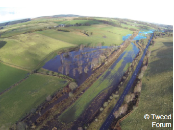 An aerial view of a re-meandered section of the Eddleston Water. It shows water flowing through a winding channel and flooding across a new wetland area. 
