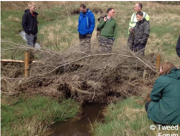 A photo of a group discussing a leaky dam made from tree branches on the Eddleston Water