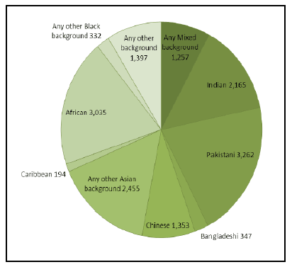 Figure 4: Ethnic background of minority student groups, 2010-11 (Source: College Performance Indicators 2010-11)