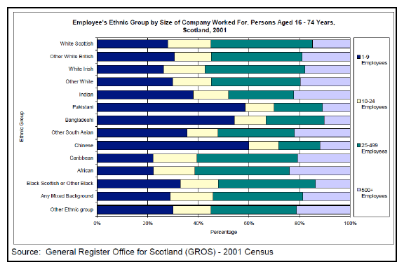 Figure 6: Employee ethnicity and size of employing firm (Source: High Level Summary of Equality Statistics, 2006)