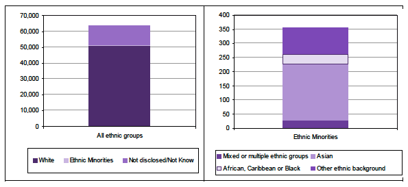 Figure 11: Home and telecare clients by ethnic group, 2011. (Source: Health and Social Care Datasets)