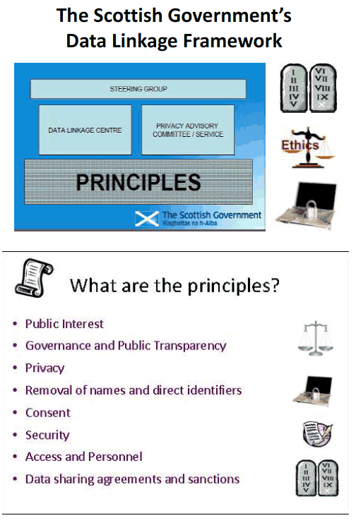 Presentation slide 9