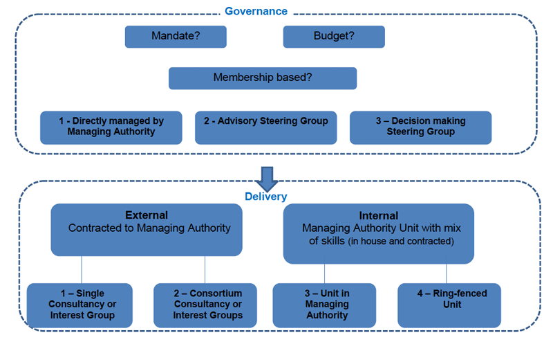 Figure 1: Typology of options for governance and structure of National Network Units