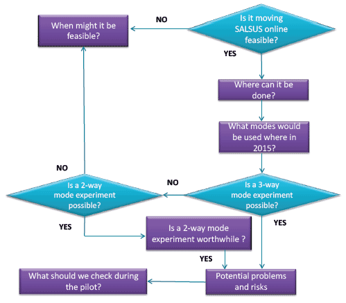 Figure 2.2 Key questions in the online feasibility process