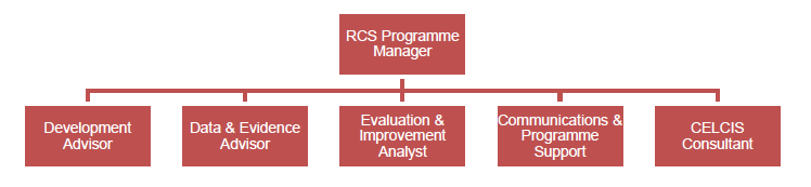 Figure 1.2 RCS Programme Team structure