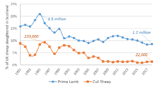 Figure 5 Scottish proportion of UK sheep slaughterings
