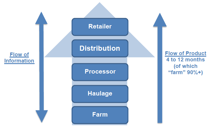 Figure 25 Illustrative value chain for lamb
