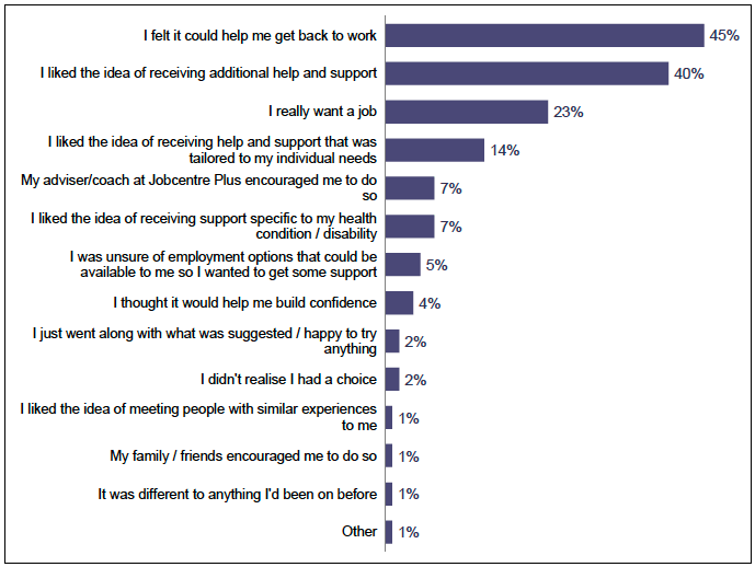 Figure 1: Participant motivations to engage with FSS support
