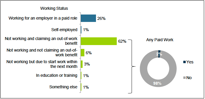 Figure 7: Participants’ working status (at time of interview, June 2019)