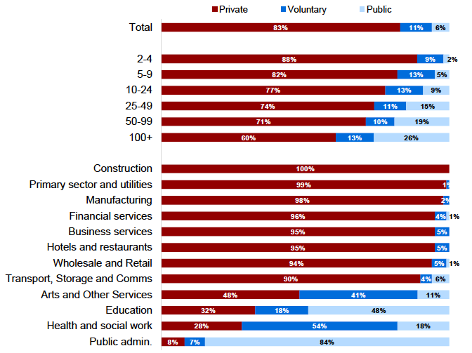 Figure 2.3: Broad classification by size and sector, 2019