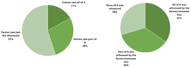 Figure 5.1 Whether farmers personally witnessed the most recent dog incident and whether it was witnessed by anybody (% respondents)