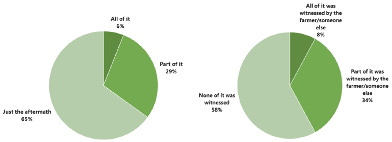 Figure 5.4 Whether farmers personally witnessed the most recent wildlife incident and whether it was witnessed by anybody (% respondents)