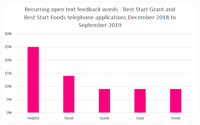 Recurring open text feedback words - Best Start Grant and Best Start Foods telephone applications December 2018 to September 2019