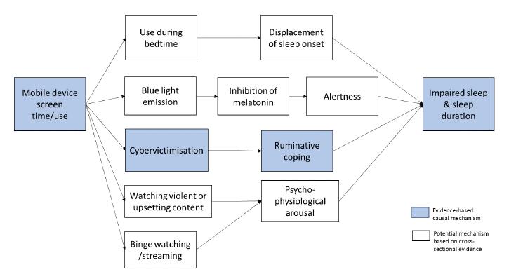 Figure 1. Potential causal pathways between mobile device screen time/use and impaired sleep