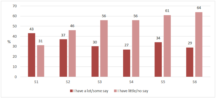 Figure 4.3 How much say young people have on what they learn, by school year