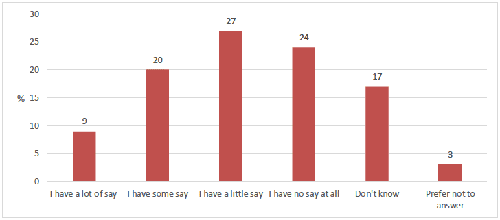 Figure 4.9 How much say young people have on decisions affecting the school as a whole