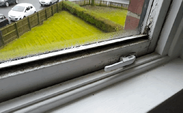 A photo of condensation and black mould appearing at the bottom of a participants' window.
