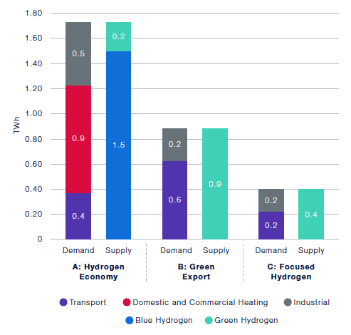 The figure charts a prediction of hydrogen demand and supply for each one of the scenarios by 2025. The hydrogen economy scenario draws a demand and supply of hydrogen of 1.6 TWh. The green export scenario would require a demand and supply of around 0.8 TWh. The focused hydrogen scenario sets the demand and supply of hydrogen by 2025 at 0.4 TWh.