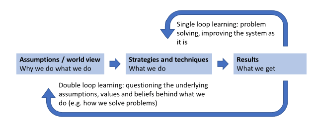 Flow chart distinguishing processes of single and double loop learning