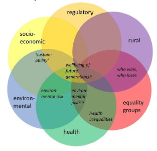 Venn diagram representing how six types of impact assessment may typically be grouped in integration