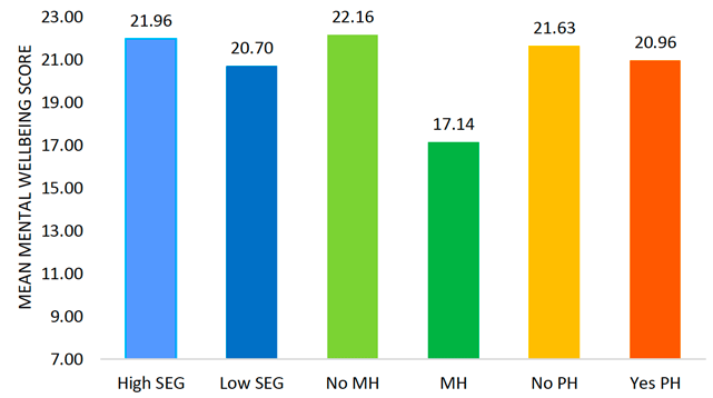 This histogram separately illustrates the mean mental wellbeing scores for those who did or did not report a pre-existing mental health conditions, participants of the high or low socio-economic group and those who reported or did not report a pre-existing physical health condition. The lowest mean wellbeing score of 17.14 was found for participants with a pre-existing mental health condition. The remaining groups differed only slightly in their mean values. The highest mean value of 22.16 was reported by participants without a pre-existing mental health condition, followed by 21.96 in the high socio-economic group, 21.63 for participants without a pre-existing physical health condition, 20.96 for those with a pre-existing physical health condition and 20.70 for the low socio-economic group.