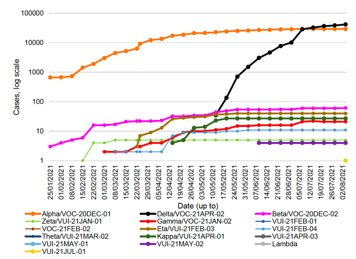This line graph shows the number of cases of the variants of concern and variants of interest that have been detected by sequencing in Scotland each week, from the 25th of January to the 4th August 2021. Beta, also known as VOC-20DEC-02, first detected in South Africa, was increasing steadily since late January from 3 cases to 60 cases on the 7th July, and then increased to 61 cases on 4 August. Eta, or VUI-21FEB-03, first identified in Nigeria, rapidly increased since mid-March and reached 40 cases at the end of May. Eta has remained stable over the last ten weeks. Gamma remained at 21 cases in the week to 4th August. There are also 27 cases of Kappa, or VUI-21APR-01, first identified in India, no change since the week before. First case of VUI-21Jul-01 emerged in the week to 4th August. Delta, also known as VOC-21APR-02, first identified in India, has seen a rapid increase in the past eleven weeks to 41,501 cases, an increase of 3,017 cases since the week before. 