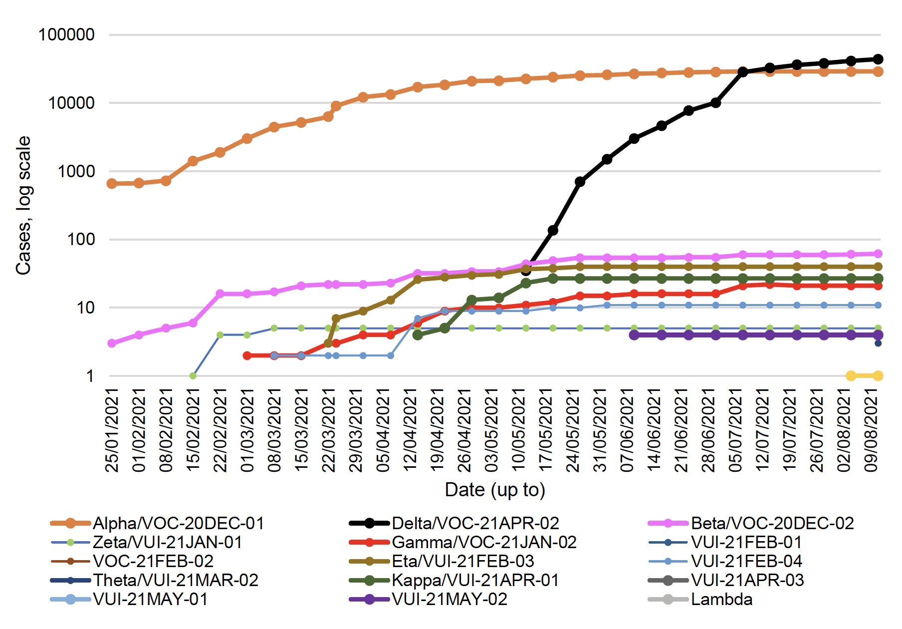 This line graph shows the number of cases of the variants of concern and variants of interest that have been detected by sequencing in Scotland each week, from the 25th of January to the 11th August 2021.
Beta, also known as VOC-20DEC-02, first detected in South Africa, was increasing steadily since late January from 3 cases to 60 cases on the 7th July, and then increased to 62 cases by 11 August. Eta, or VUI-21FEB-03, first identified in Nigeria, rapidly increased since mid-March and reached 40 cases at the end of May. Eta has remained stable over the last eleven weeks. Gamma remained at 21 cases in the week to 11th August. There are also 27 cases of Kappa, or VUI-21APR-01, first identified in India, no change since the week before. The first case of VUI-21Jul-01 emerged in the week to 4th August butno further cases were identified in the week to 11th August. Delta, also known as VOC-21APR-02, first identified in India, has seen a rapid increase in the past twelve weeks to 44,254 cases, an increase of 2,753 cases since the week before.
