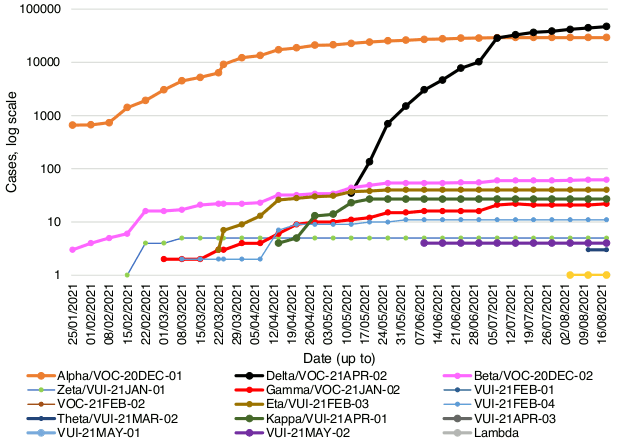 This line graph shows the number of cases of the variants of concern and variants of interest that have been detected by sequencing in Scotland each week, from the 25th of January to the 18th August 2021. Beta, also known as VOC-20DEC-02, first detected in South Africa, was increasing steadily since late January from 3 cases to 60 cases on the 7th July, and then increased to 62 cases by 11 August. Eta, or VUI-21FEB-03, first identified in Nigeria, rapidly increased since mid-March and reached 40 cases at the end of May. Eta has remained stable over the last twelve weeks. Gamma remained at 22 cases in the week to 18th August. There are also 27 cases of Kappa, or VUI-21APR-01, first identified in India, no change since mid-May. The first case of VUI-21Jul-01 emerged in the week to 4th August but no further cases were identified in the week to 11th August. Delta, also known as VOC-21APR-02, first identified in India, has seen a rapid increase in the past twelve weeks to 46,901 cases, an increase of 2,647 cases since the week before.