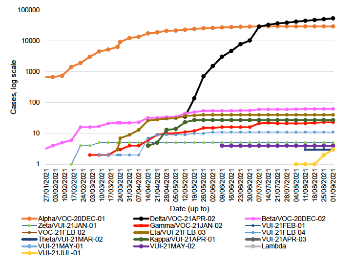 This line graph shows the number of cases of the variants of concern and variants of interest that have been detected by sequencing in Scotland each week, from 25 January to 1 September 2021.

Beta, also known as VOC-20DEC-02, first detected in South Africa, was increasing steadily since late January from 3 cases to 60 cases on the 7 July, and then increased to 62 cases by 11 August. Beta has remained at 62 cases since then. Eta, or VUI-21FEB-03, first identified in Nigeria, rapidly increased since mid-March and reached 40 cases at the end of May. Eta has remained stable over the last 14 weeks. Gamma increased to 23 cases in the week to 25 August but has not increased any further over the last week. There are also 27 cases of Kappa, or VUI-21APR-01, first identified in India, no change since mid-May. The first case of VUI-21Jul-01 emerged in the week to 4 August with three new case identified in the week to 1 September. Delta, also known as VOC-21APR-02, first identified in India, has seen a rapid increase in the past 16 weeks to 53,043 cases, an increase of 3,188  cases since the week before. 
