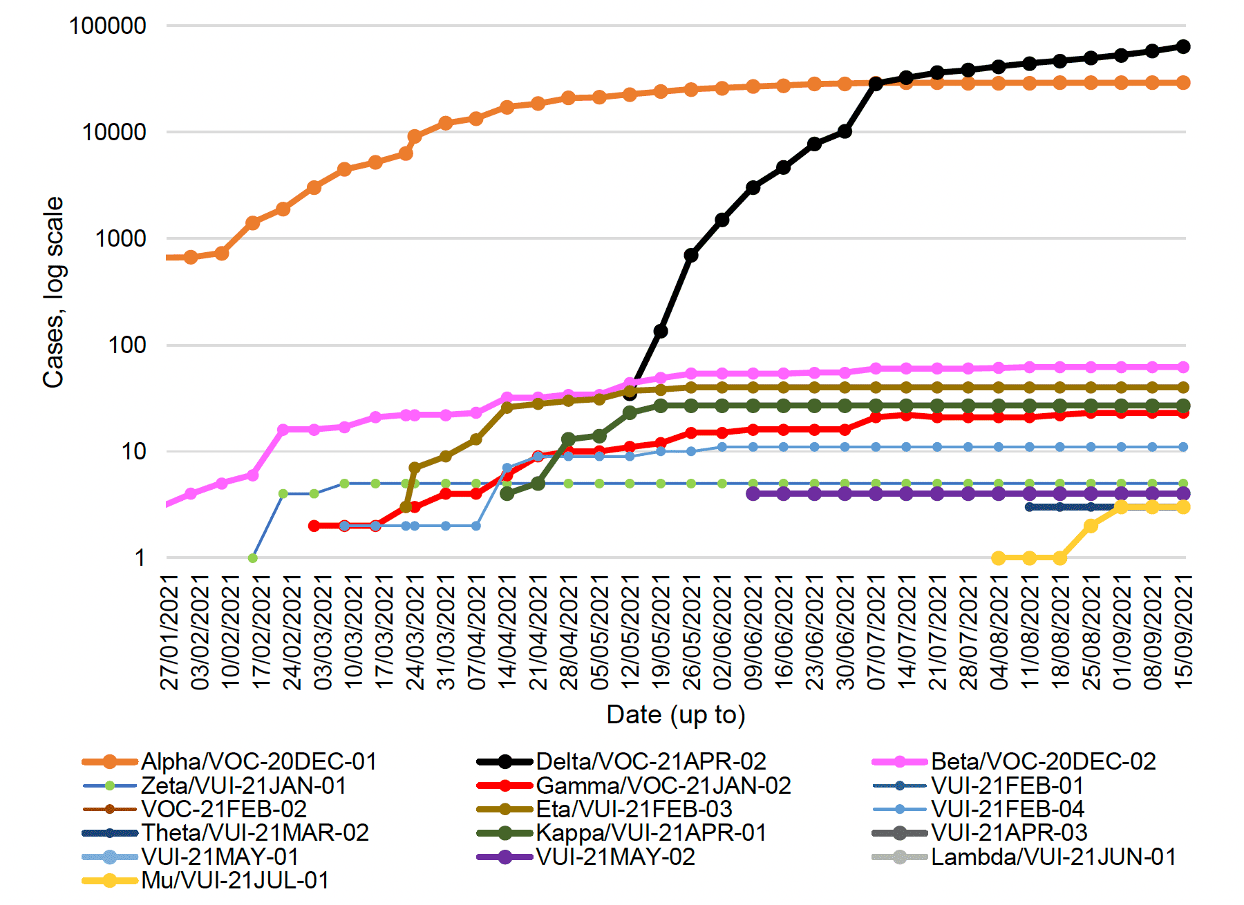 This line graph shows the number of cases of the variants of concern and variants of interest that have been detected by sequencing in Scotland each week, from 25 January to 15 September 2021.

Beta, also known as VOC-20DEC-02, first detected in South Africa, was increasing steadily since late January from 3 cases to 60 cases on the 7 July, and then increased to 62 cases by 11 August. Beta has remained at 62 cases since then. Eta, or VUI-21FEB-03, first identified in Nigeria, rapidly increased since mid-March and reached 40 cases at the end of May. Eta has remained stable over the last 16 weeks. Gamma increased to 23 cases in the week to 25 August but has not increased any further over the last weeks. There are also 27 cases of Kappa, or VUI-21APR-01, first identified in India, no change since mid-May. The first case of VUI-21Jul-01 emerged in the week to 4 August with three new case identified in the week to 1 September, however no change over the last 2 weeks. Delta, also known as VOC-21APR-02, first identified in India, has seen a rapid increase in the past 18 weeks to 64,169 cases, an increase of 6,147 cases since the week before.
