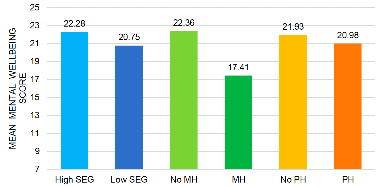 This histogram separately illustrates the mean mental wellbeing scores for those who did or did not report a pre-existing mental health conditions, participants of the high or low socio-economic group and those who reported or did not report a pre-existing physical health condition. The lowest mean wellbeing score of 17.41 was found for participants with a pre-existing mental health condition. The remaining groups differed only slightly in their mean values. The highest mean value of 22.36 was reported by participants without a pre-existing mental health condition, followed by 22.28 in the high socio-economic group, 21.93 for participants without a pre-existing physical health condition, 20.98 for those with a pre-existing physical health condition and 20.75 for the low socio-economic group.