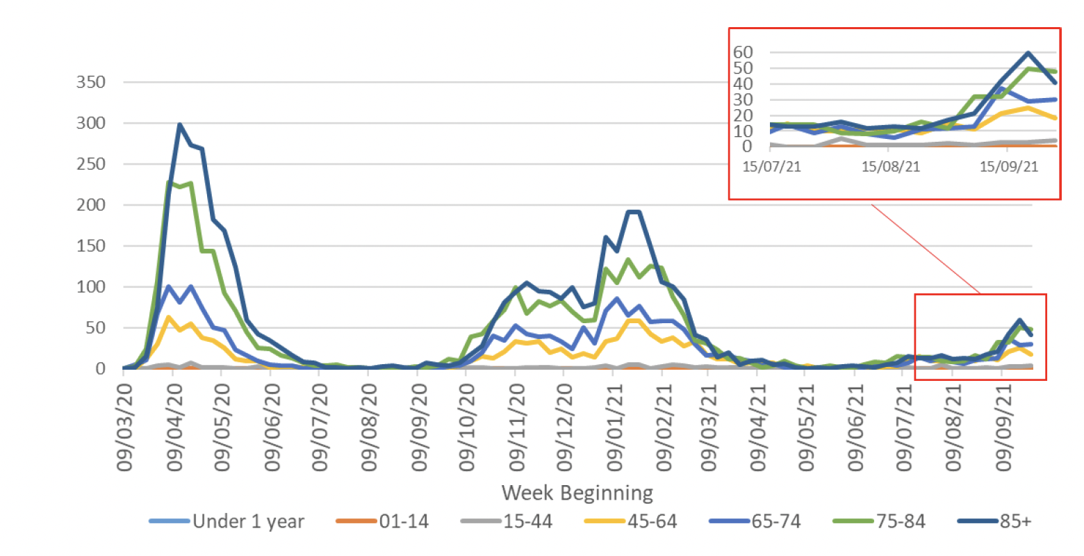 This line graph shows the weekly number of deaths for seven different age groups over time, from March 2020. In April 2020 the number of deaths in the four age groups over 45 reached a peak, with the highest number of deaths being in the over 85 age group. Deaths then declined steeply and the number of deaths was very low in all age groups from July to September 2020. In October the number of deaths started to increase and then plateaued during November and December 2020 for the four age groups over 45. At the end of December deaths rose steeply again to another peak in January 2021, with the highest deaths being in the over 85 age group. The number of deaths has since declined steeply with the largest decrease in the over 85 age group, followed by a sharp decline in the 75 to 84 age group. Since mid-June 2021 there has been a slight increase in deaths overall, with the greatest increase in the 45 plus age groups. However, the number of deaths in all age groups remained low with only a slight recent increase seen with 141 deaths registered over the latest week. Deaths in the under 44 age groups have remained very low throughout the whole period.