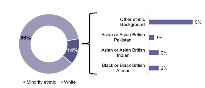 Figure showing ethnicity of the 2020 cohort