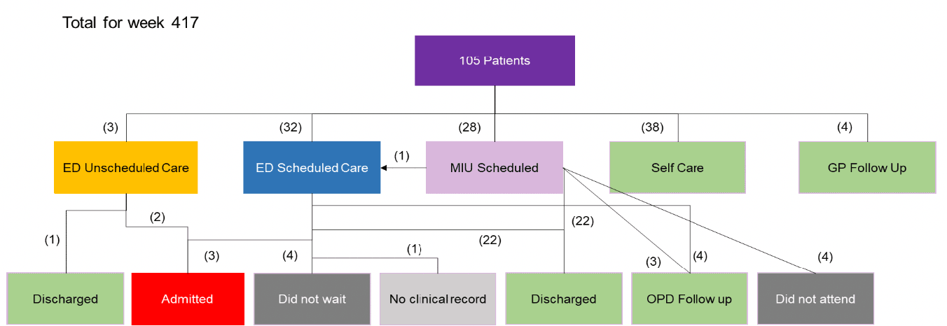 The flow chart shows the onward referral from the FNC In Greater Glasgow in Clyde following a referral from NHS 24. It provides a breakdown as to how many were provided with a specific type of care.