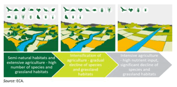 An infographic showing how intensification of land use impacts biodiversity. Text: Semi natural habitats and extensive agriculture - high number of species and grassland habitats. Intensification of agriculture - gradual decline of species and grassland habitats. Intensive agriculture - high nutrient input, significant decline of species and grassland habitats.