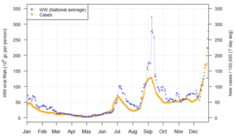 A line chart showing national average trends in wastewater Covid-19 and daily case rates.