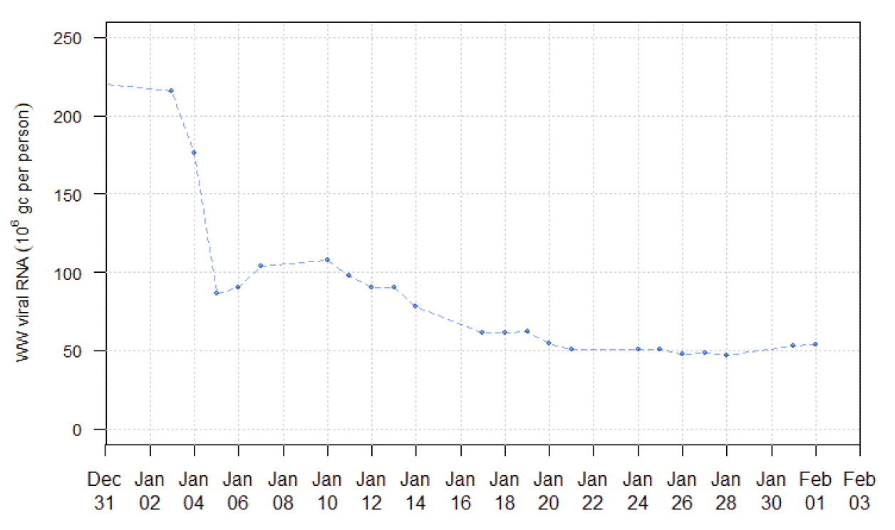 A line chart showing the national running average trends in wastewater Covid-19 from 31st December to 1st February, in million gene copies per person.