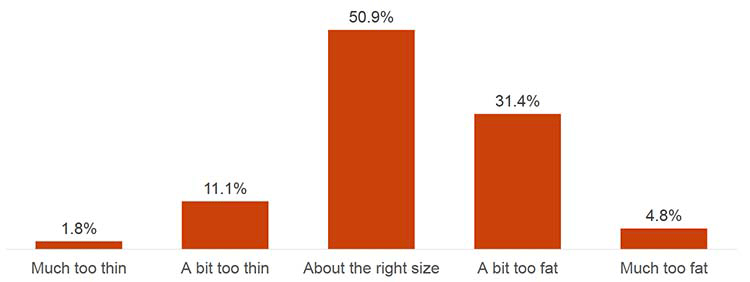 This chart shows the proportion of how young people perceived their body size according to the five items “much too thin”, “a bit too thin”, “about the right size”, “a bit too fat”, and “much too fat”. 31.4% of young people said they perceived their body size as “a bit too fat”, whilst 11.1% perceived it as “a bit too thin”.