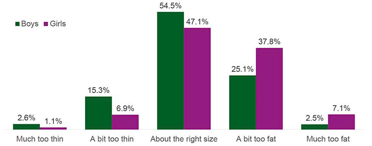 This chart shows the proportions of girls’ and boy’s perception of their body size. 54.5% of boys said they thought they were “about the right size” (compared with 47.1% of girls), while 25.1% of boys said they thought they were “a bit too fat” (compared with 37.8% of girls).